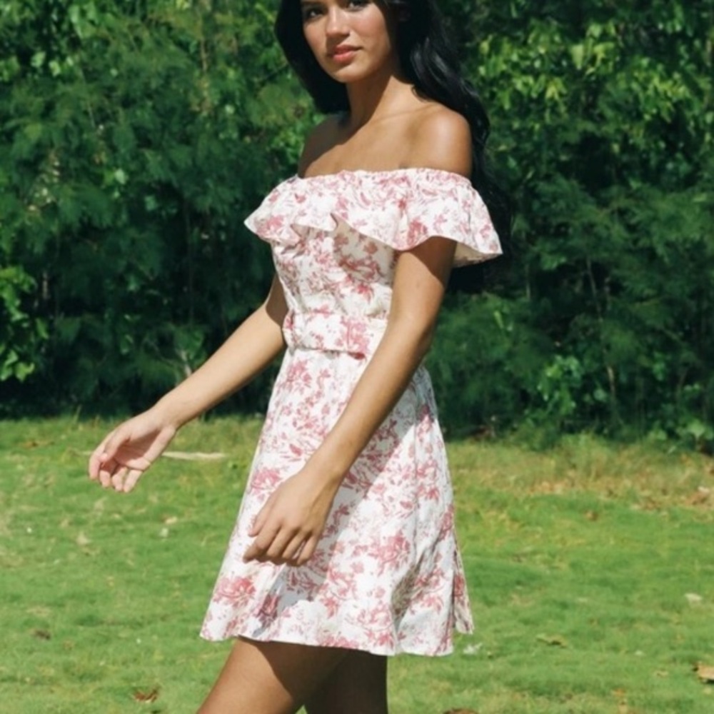 COUSIN the Label Toile Pink Mini Dress